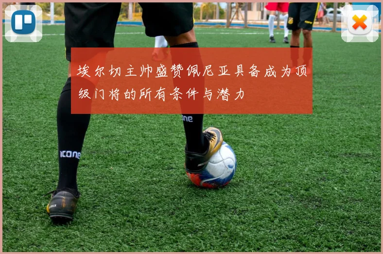 埃尔切主帅盛赞佩尼亚具备成为顶级门将的所有条件与潜力
