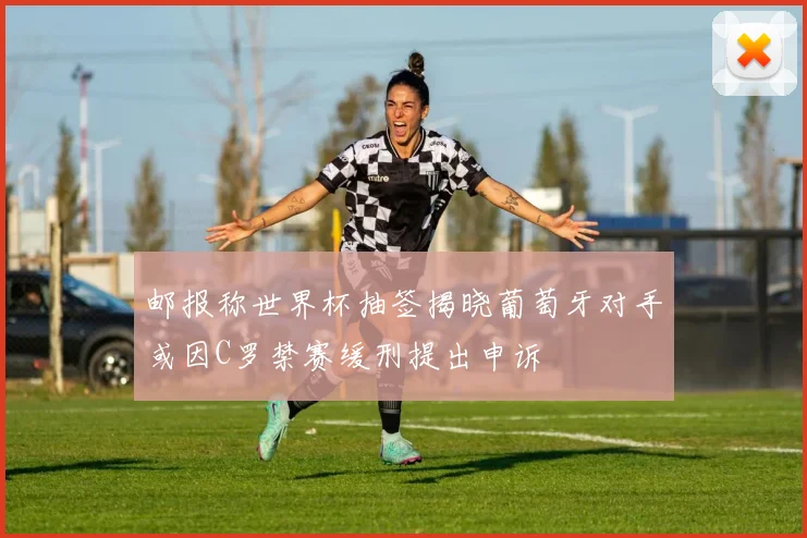 邮报称世界杯抽签揭晓葡萄牙对手或因C罗禁赛缓刑提出申诉