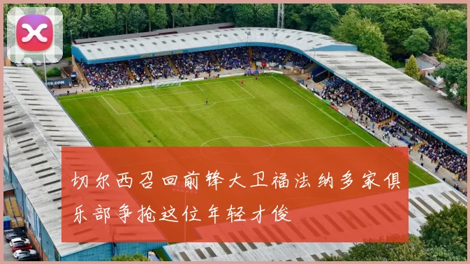 切尔西召回前锋大卫福法纳多家俱乐部争抢这位年轻才俊