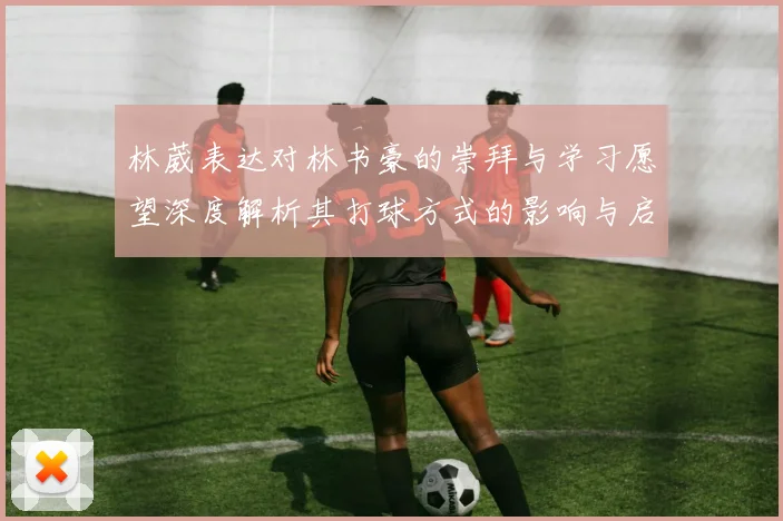 林葳表达对林书豪的崇拜与学习愿望深度解析其打球方式的影响与启发